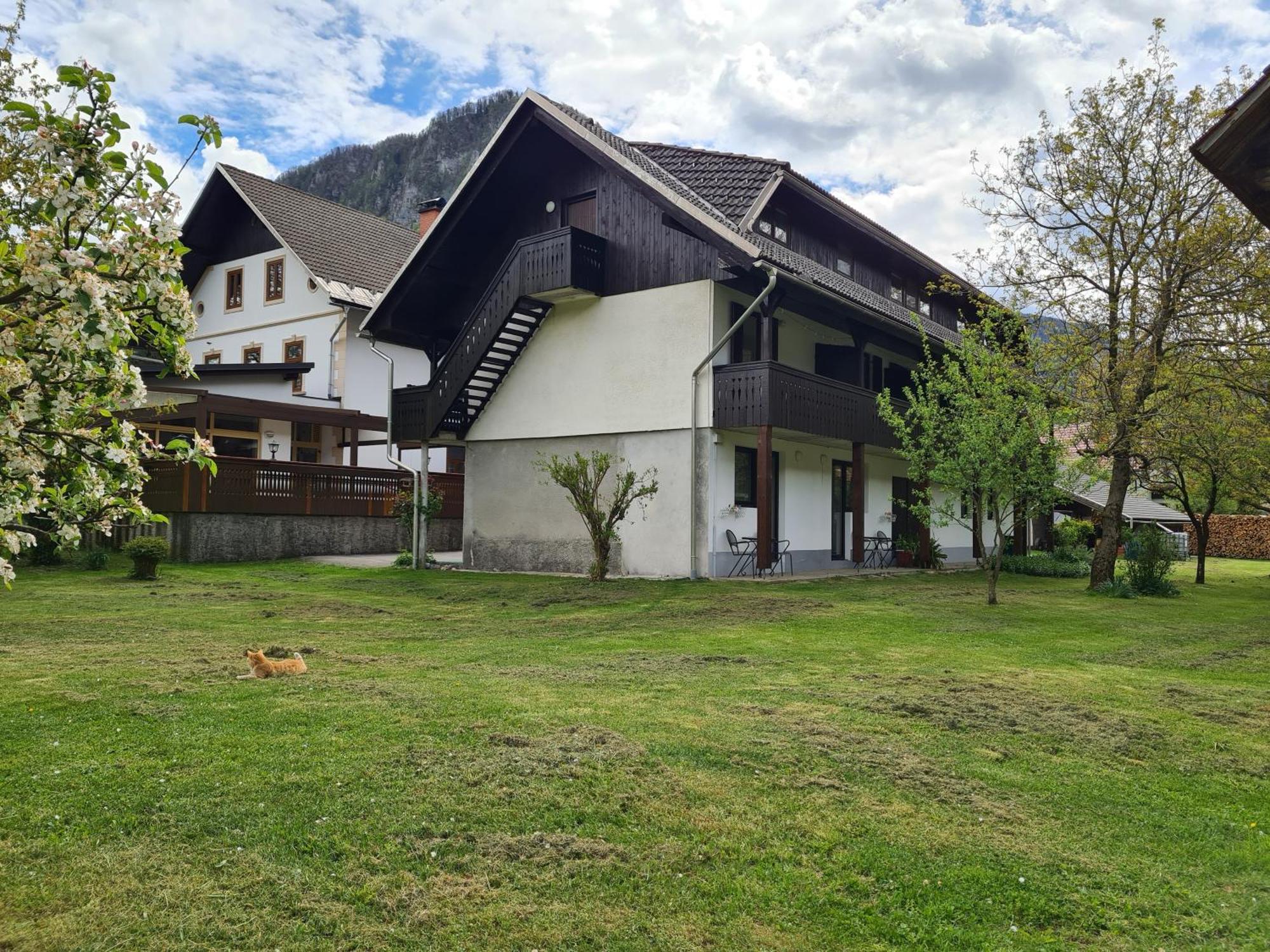 Bed and Breakfast Gostilna Batist Bohinjska Bela Exteriér fotografie