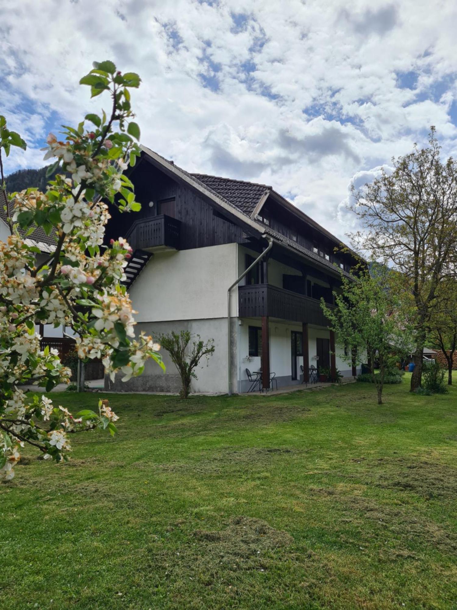 Bed and Breakfast Gostilna Batist Bohinjska Bela Exteriér fotografie